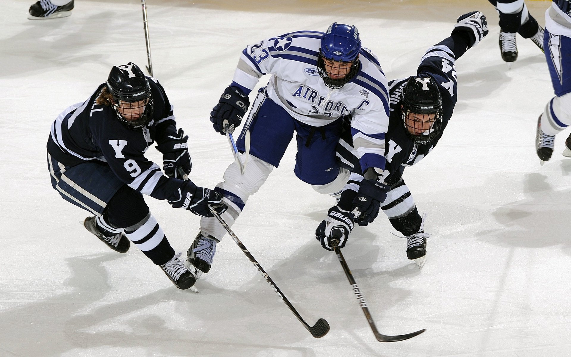 “运动舞蹈：舞步间的爆发力和灵巧度，金牛区城北体育馆见证精彩时刻”