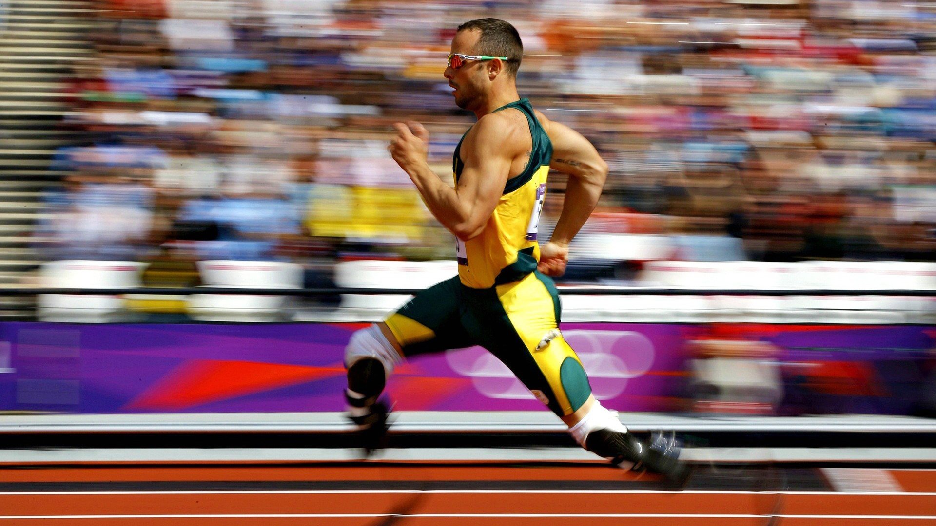 “拳脚交锋，四川省体育馆自由搏击赛火力全开”