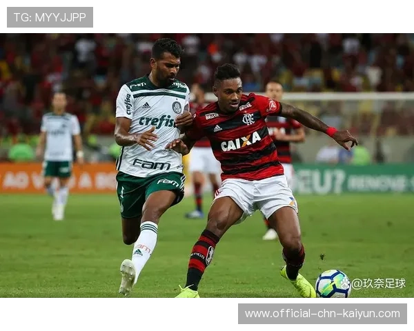 弗拉门戈反击效率稳定