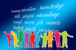 开云kaiyun-中国篮球职业联赛品牌战略及市场推广研究，中国的职业篮球联赛